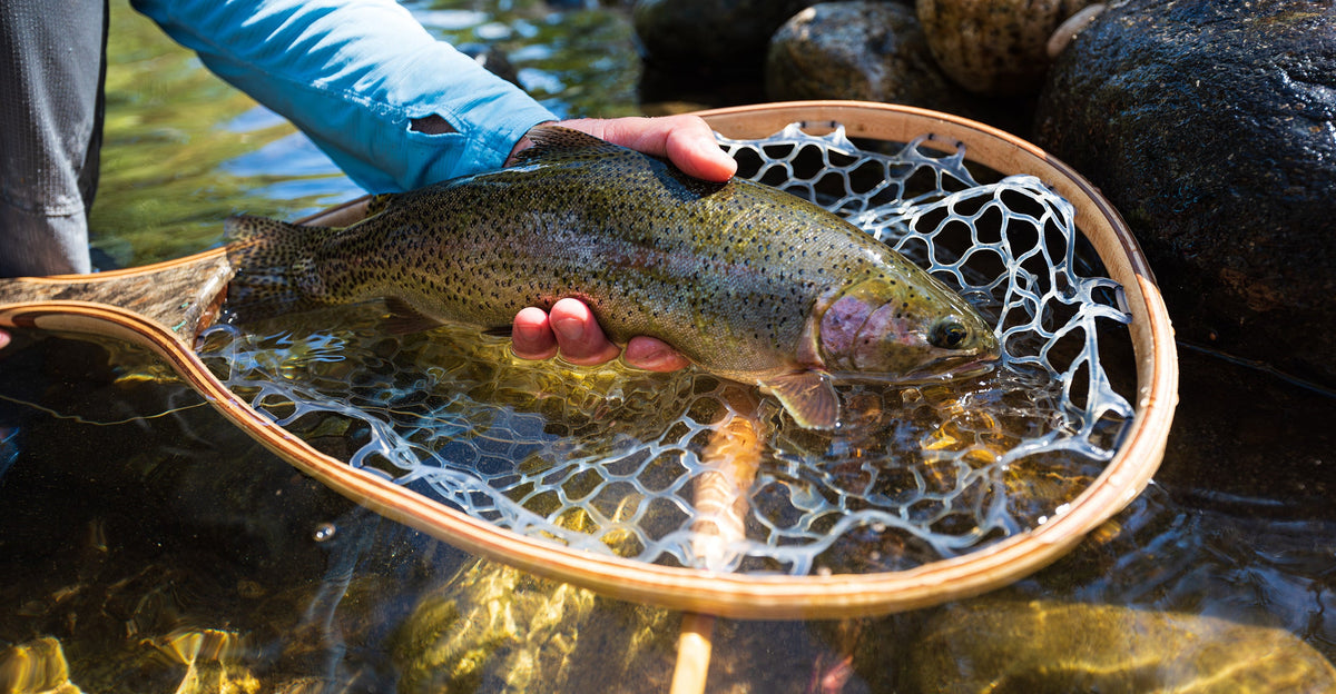 Custom Landing Nets